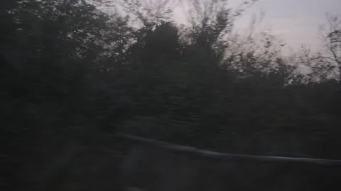 Sunset landscape from inside a train,  4K, F-log  Stock Footage 139174350