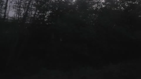 Sunset landscape from inside a train Stock Footage 139172055