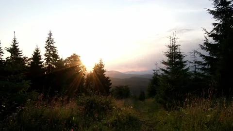 Sunset landscape at mountains with pines Stock Footage 159546234