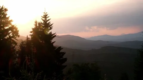 Sunset landscape at mountains with pines Stock Footage 159546255