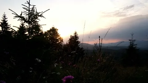 Sunset landscape at mountains with pines Stock Footage 159546265