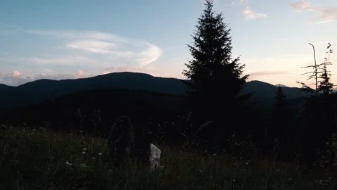 Sunset landscape at mountains with pines Stock Footage 159546349