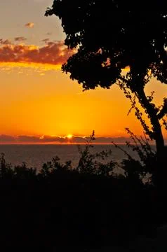 Sunset landscape with ocean and tree silhouette. Madagascar Foto stock