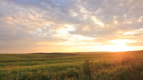 Sunset landscape panning - golden clouds sky, green grass field and two trees Stock Footage 75587526