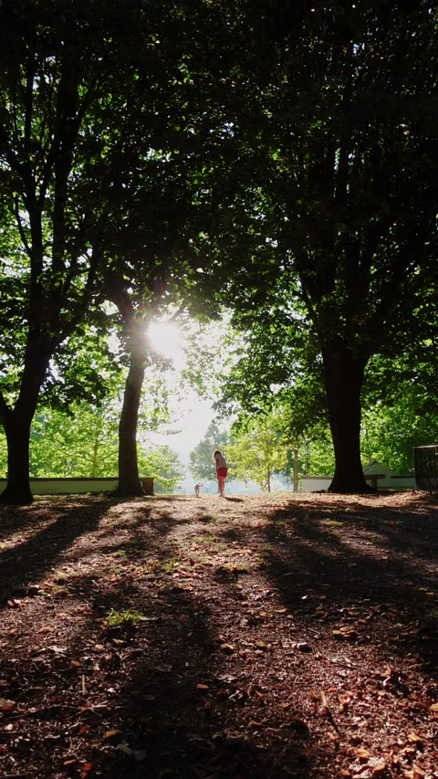 Sunset landscape in a park where we see a girl playing with a dog Video stock 280482175