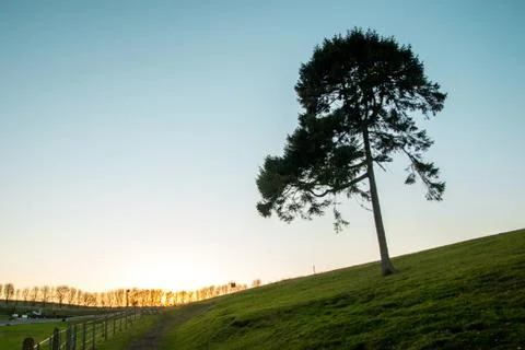 Sunset Landscape Stock Photos