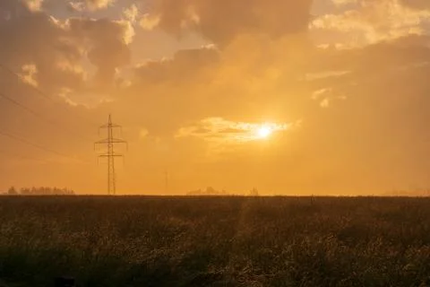 Sunset landscape with a plain wild grass field and a forest on background. Stock Photos