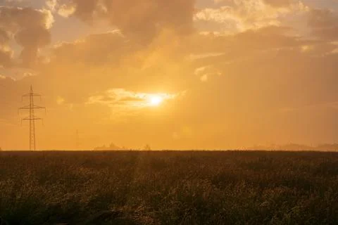 Sunset landscape with a plain wild grass field and a forest on background. Stock Photos