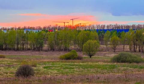 A sunset landscape in spring with trees and three tower cranes. Stock Photos