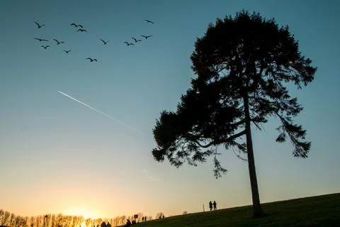 Sunset Landscape View Stock Photos