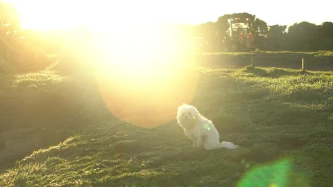 Sunset Landscapes Video stock 80318208