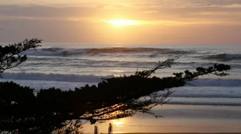 Sunset with large waves and cypress Stock Footage 589557