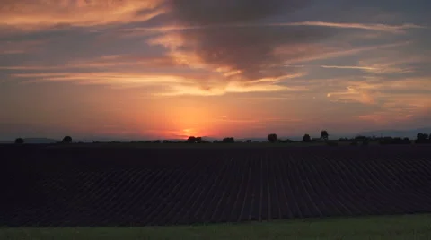 Sunset of lavender field Stock Footage 40492315