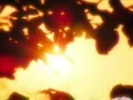 Sunset Leaves 01 Loop Web Footage