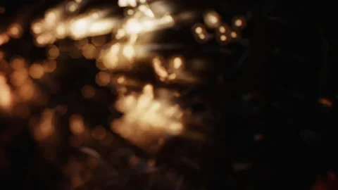 SUNSET LEAVES Stock Footage 163890808