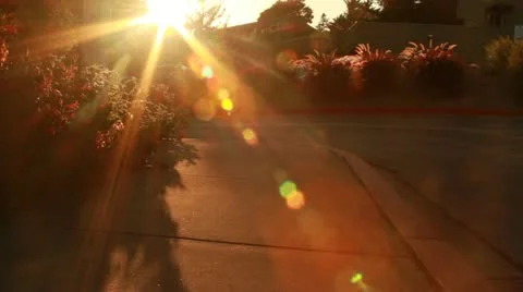 Sunset Lens Flair Stock Footage 20464337