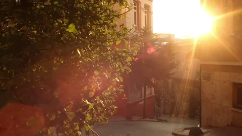 Sunset Lens Flare Man Talks Cellphone Walk Steeply Street Video stock 73685964