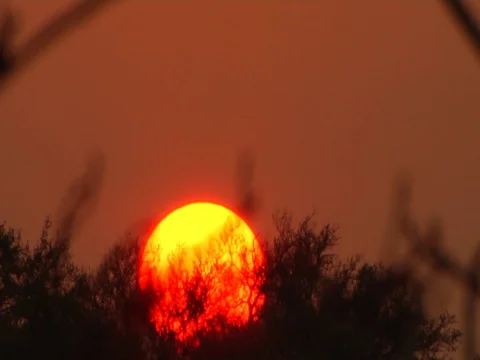 Sunset Letaba 库存影片 126090718