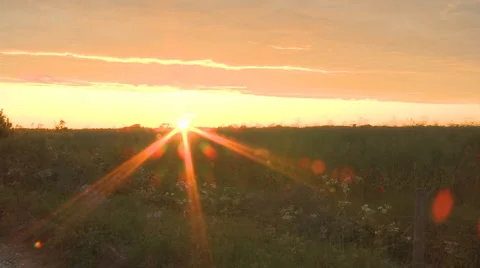 Sunset level with field Vídeo Stock 3779128