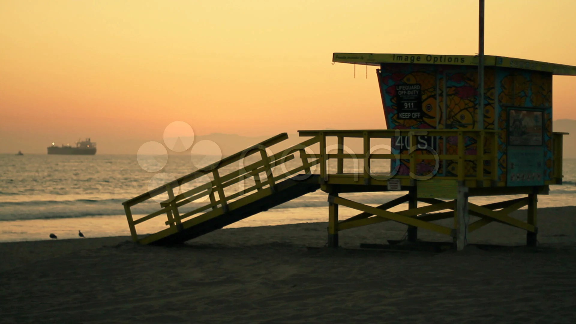 The Beach Cities
