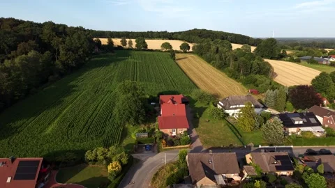 Sunset light bathes German suburb bordering green cornfield and golden wheat Stock Footage 340540936