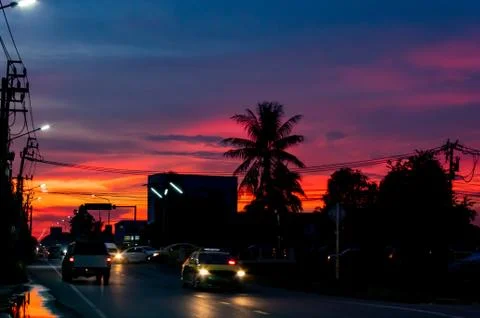 Sunset light behind the coconut trees and the road. Stock Photos