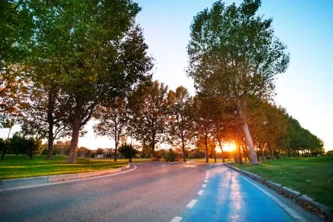 Sunset light breaking through the trees along road Stock Photos