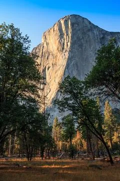 Sunset Light on El Capitan in Fall, Yosemite National Park, California Stock-Fotos