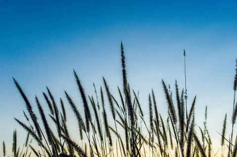 Sunset light in the evening Sky concept 库存照片