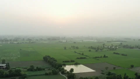 Sunset light falls over cultivated rice fields in Asia Video stock 162535432