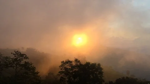 Sunset light fog in the forest mountain of view landscape nature Stock Footage 121310142