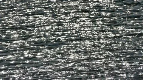 Sunset light Stock Footage 68857989