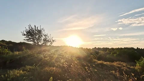 Sunset Light Nature Sky And Behind Over Field Stock Footage 339972788