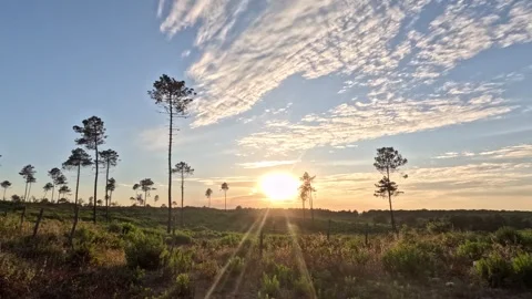 Sunset Light Nature Transition Background Stock Footage 339972888