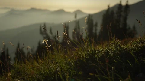 Sunset light over grass and mountains 库存影片 318379063