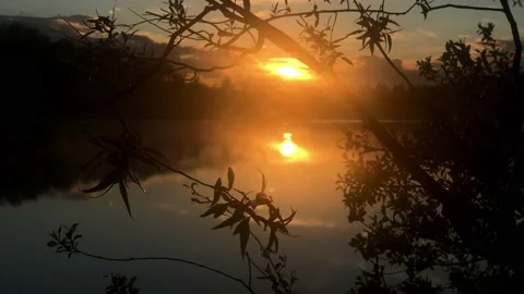 Sunset light over lake through silhouettes of tree branches in summer evening Stock Footage 196681635
