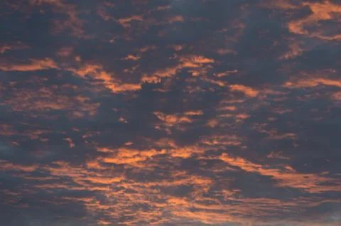 Sunset light Stock Photos