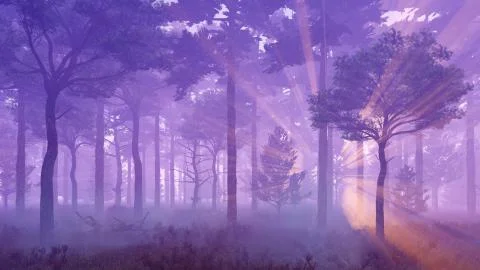 Sunset light rays in misty pine forest Stock Illustration