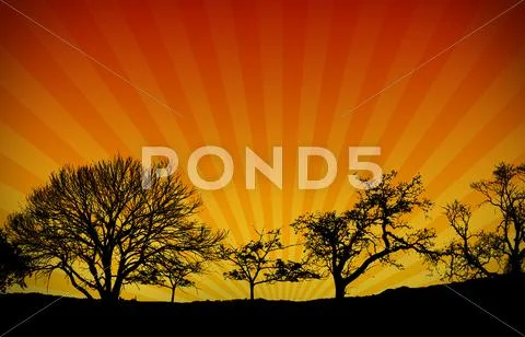 Sunset light rays nature background Stock Illustration