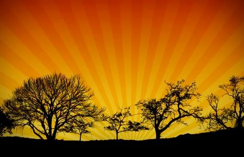 Sunset light rays nature background Иллюстрация