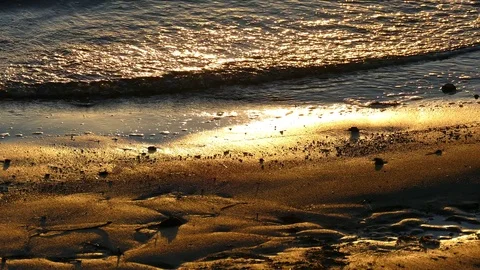 Sunset Light Refelcted On Waves Stock Footage 76346627