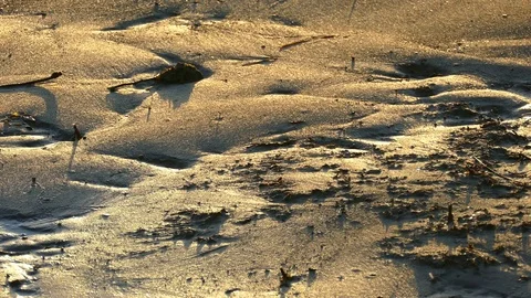 Sunset Light Reflected On Beach Stock Footage 76343453