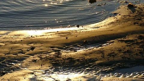 Sunset Light Reflected On Beach 스톡 동영상 76343727
