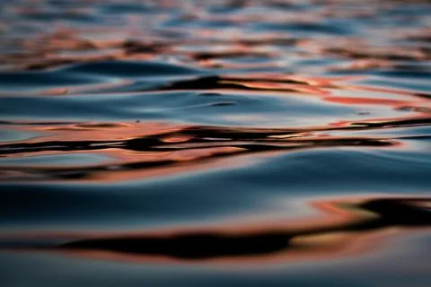 Sunset light reflecting in water Stock Photos