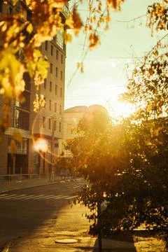 Sunset light shining between buildings in a city street Stock Photos