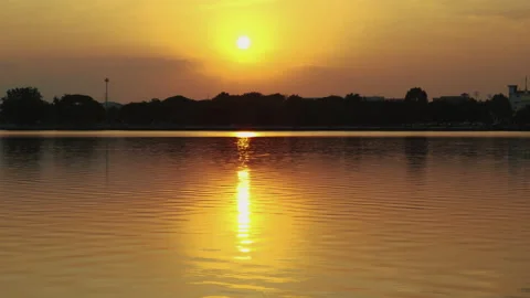 Sunset light by the swamp Stock Footage 227865253