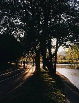 Sunset light through trees Stock Photos