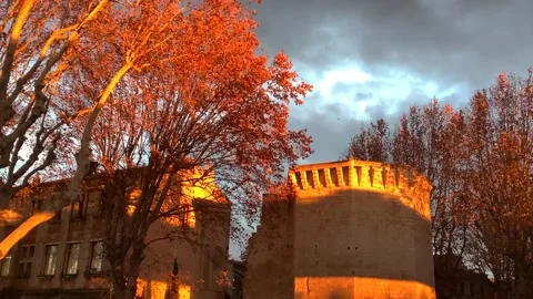 Sunset light on trees and buildings Video stock 171026584