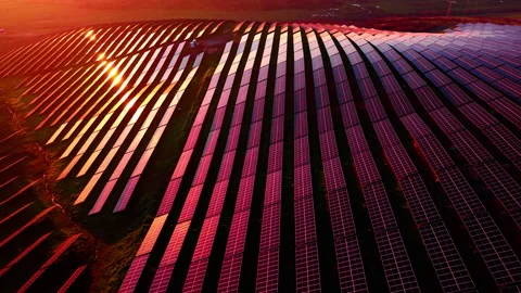 Sunset light turning solar panel array pink, Bulgaria Video stock 340409250