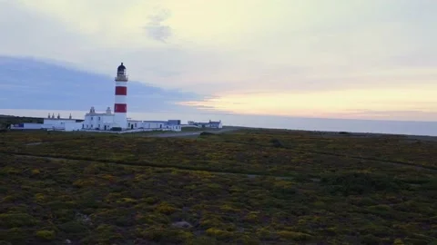Sunset, lighthouse and bright heather on calm evening. Drone shot. Stock Footage 142926756